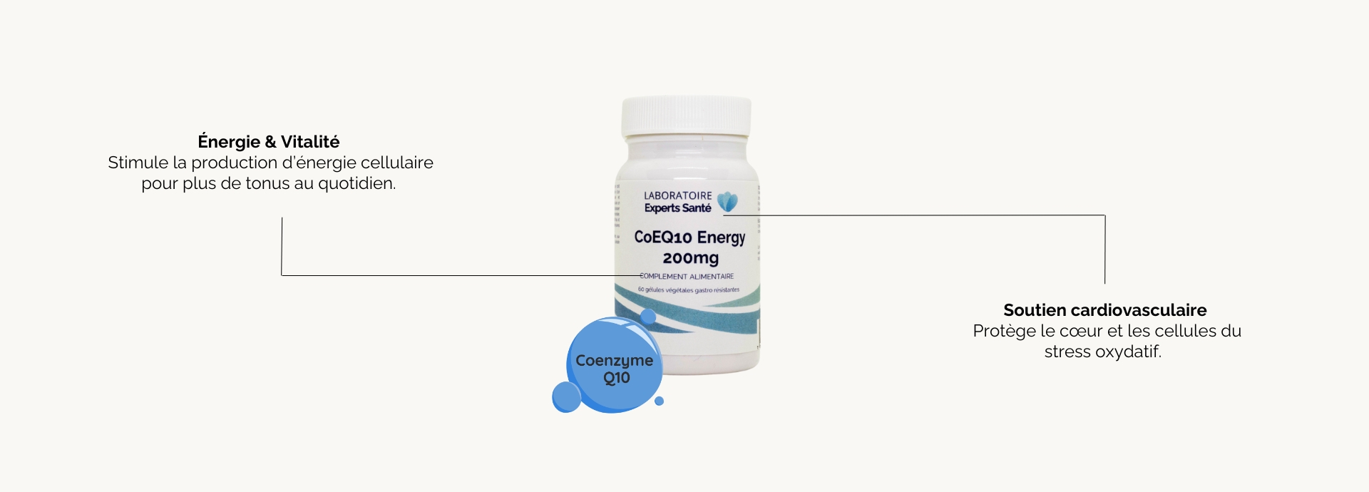 Bienfaits CoE Q10