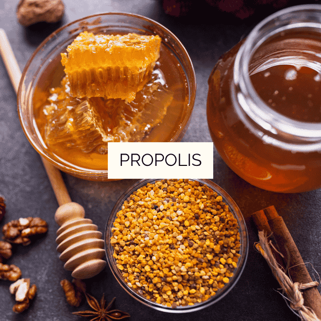 Propolis Ultra 350 mg – Image 2