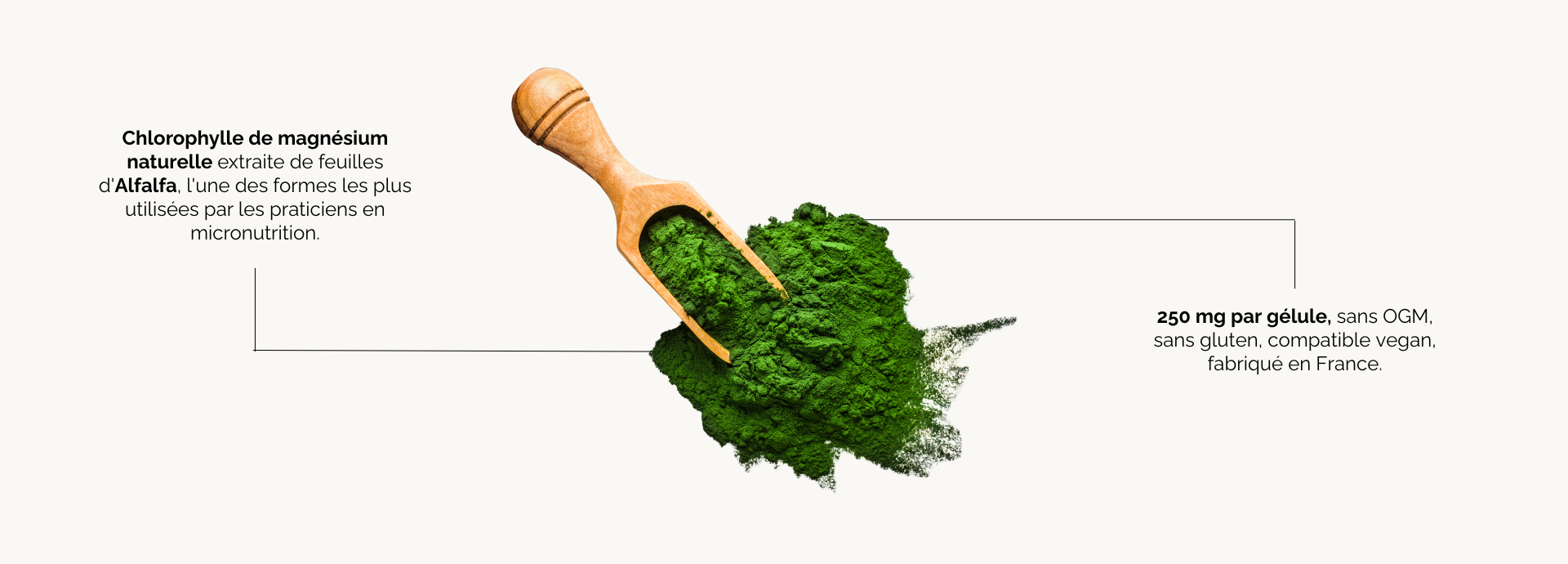 Bienfaits Chlorophylle de Magnésium