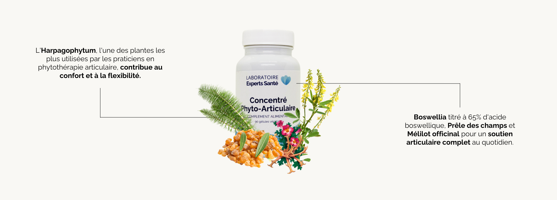 Bienfaits Concentré Phyto-Articulaire