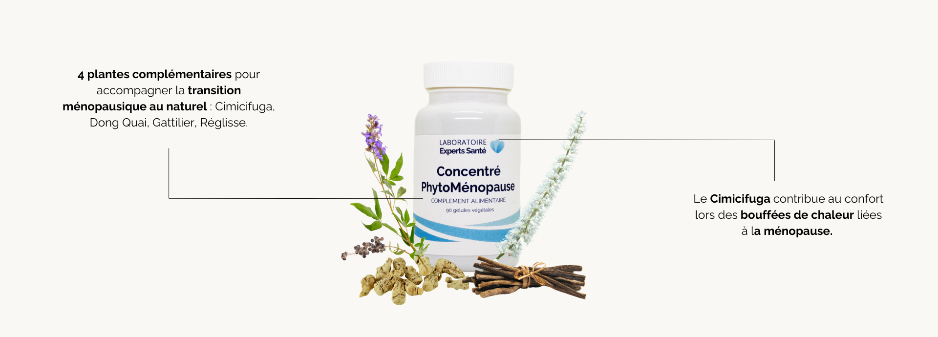 Bienfaits Concentré Phyto-Ménopause