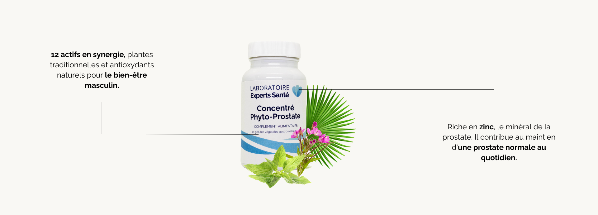 Bienfaits Concentré Phyto-Prostate