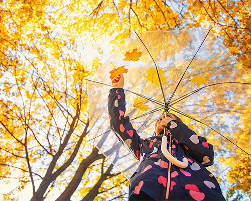 Un enfant sous un parapluie, au milieu d’une forêt aux arbres aux feuilles jaunies par l’automne.