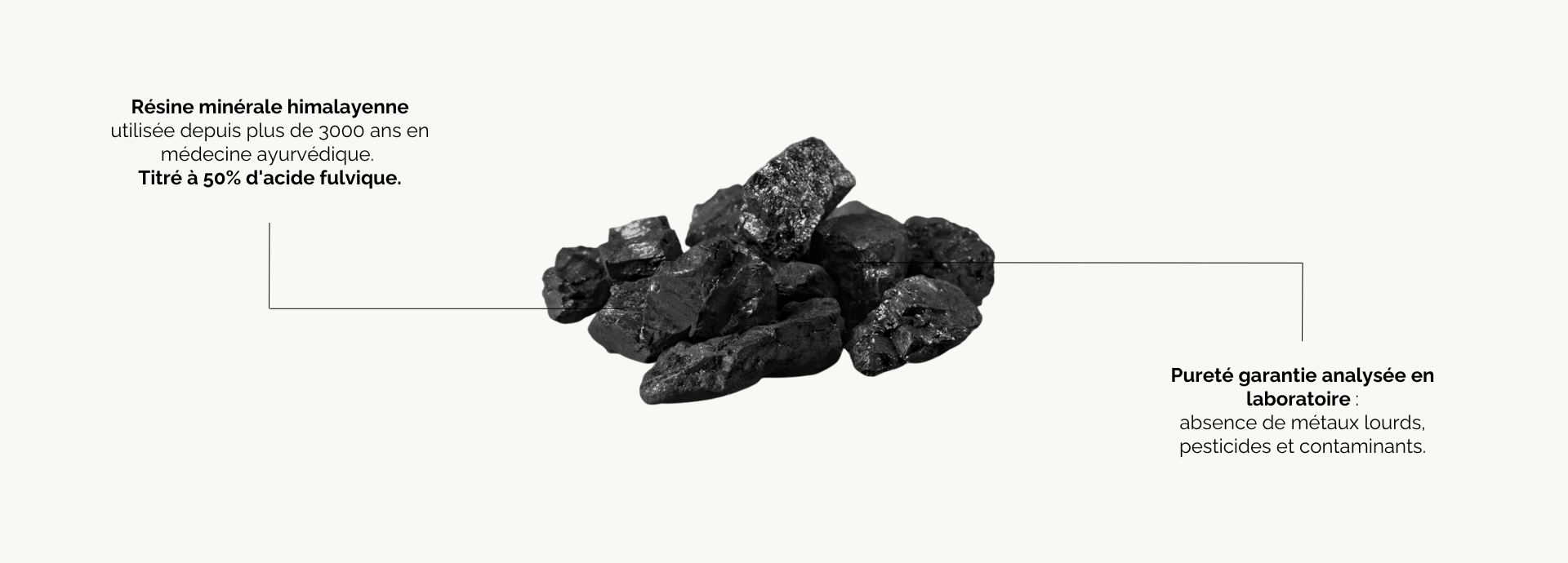 Bienfaits du shilajit