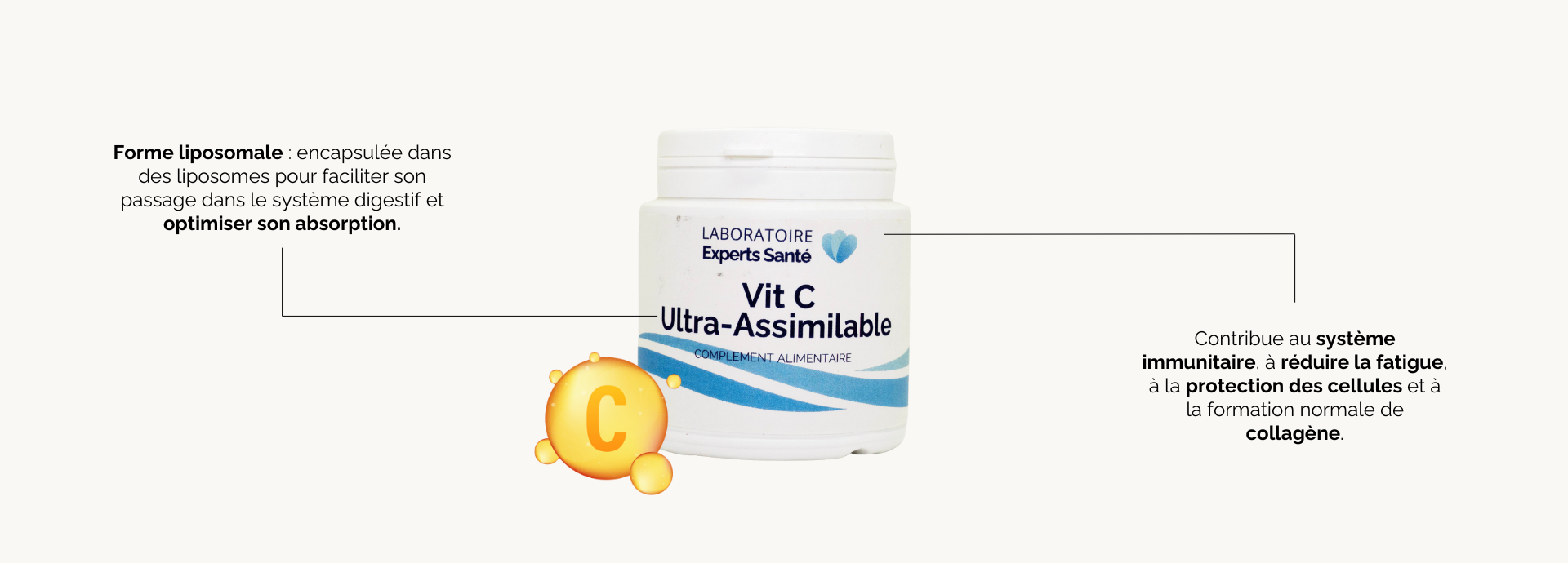 Bienfaits Vitamine C